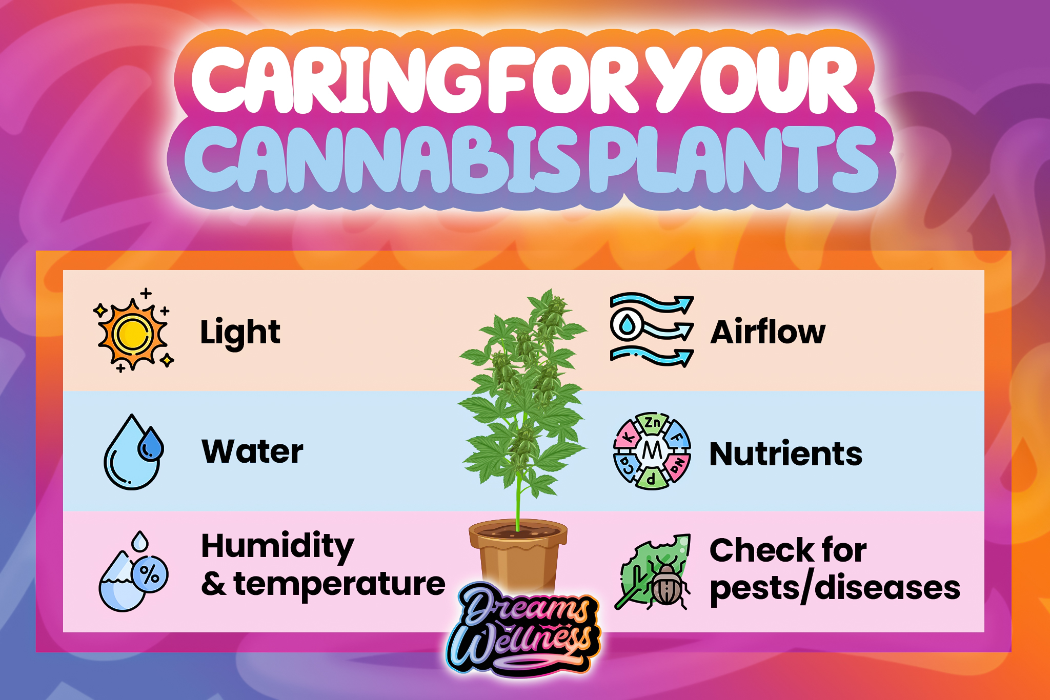 caring for your cannabis plants
