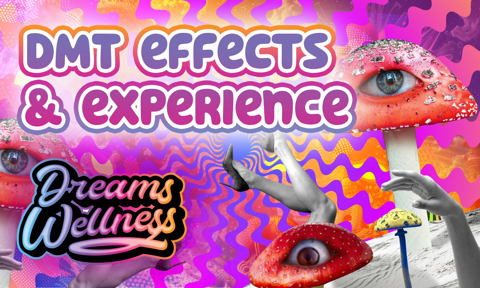 dmt effects and experience