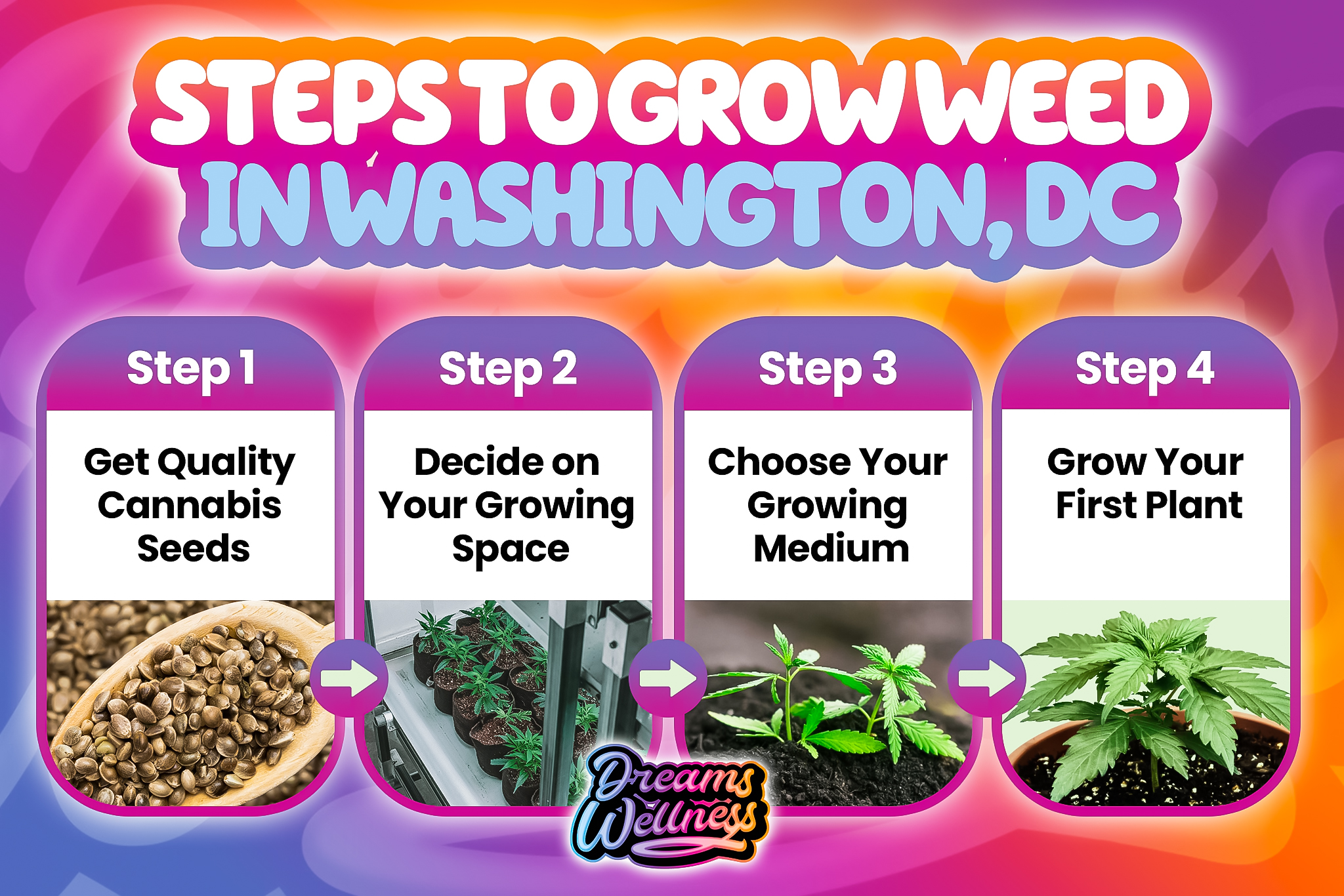steps to grow weed in washington dc