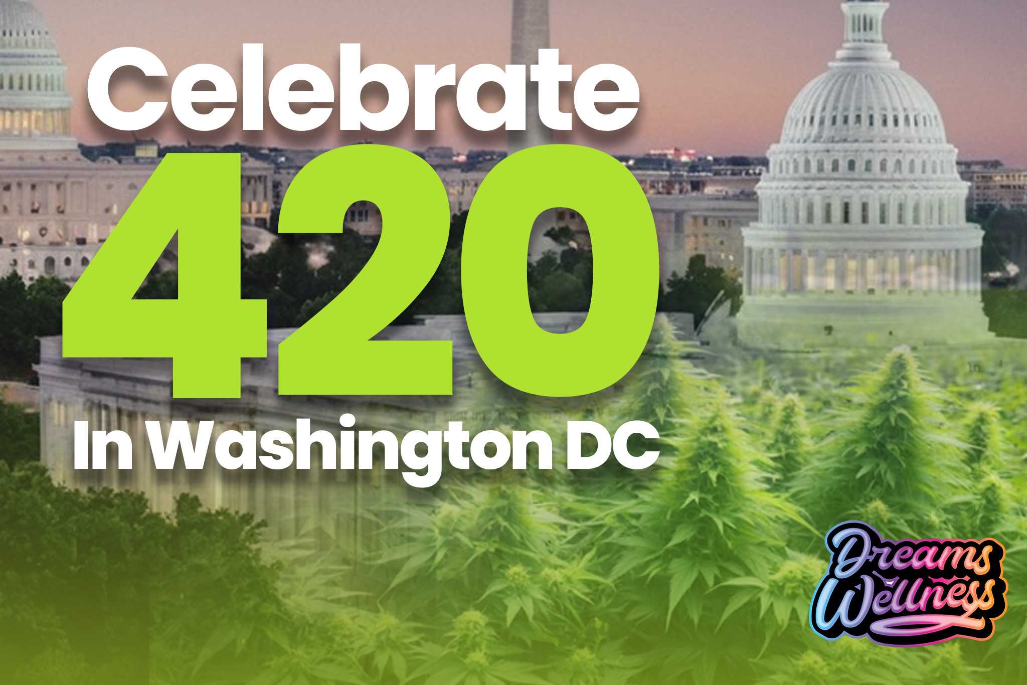 Celebrate 420 In Washington DC