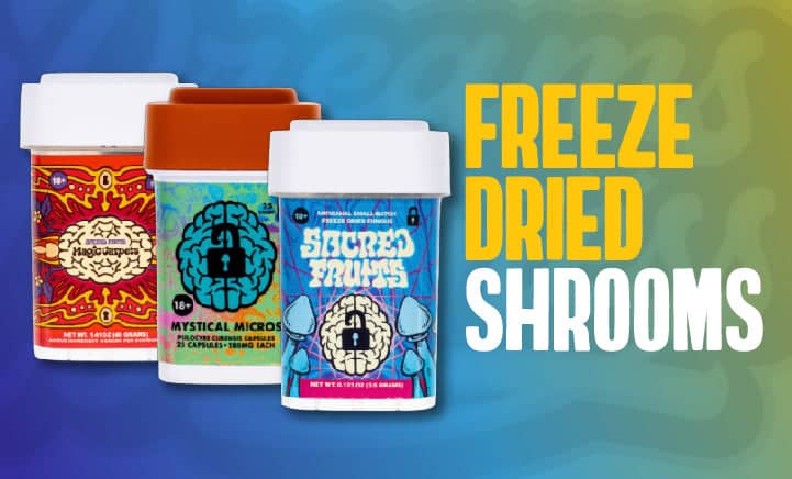 Freeze Dried Shrooms