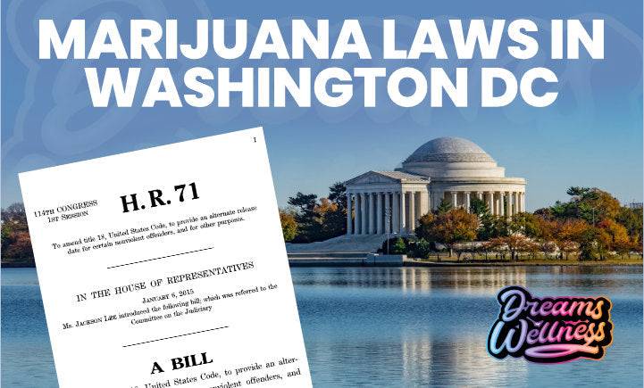 Marijuana Laws In Washington DC