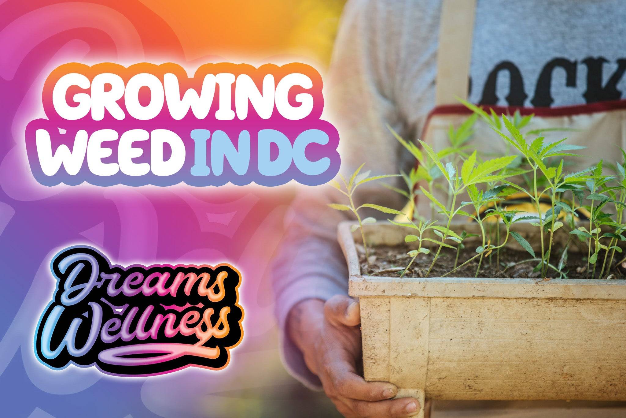 growing weed in dc