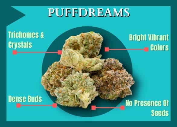 puffdreams