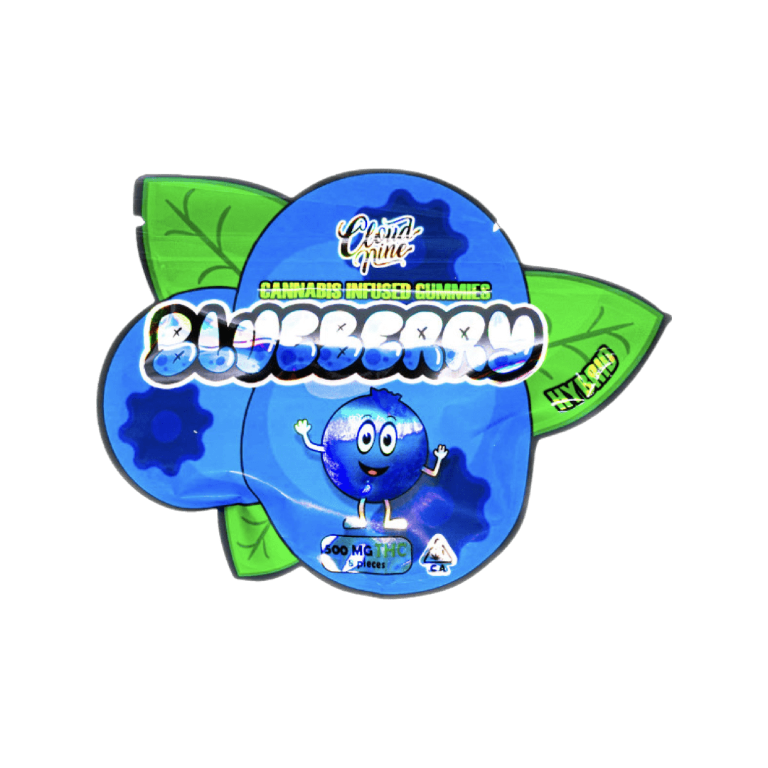 Cloud Nine Blueberry 500mg | Balanced Hybrid Edible