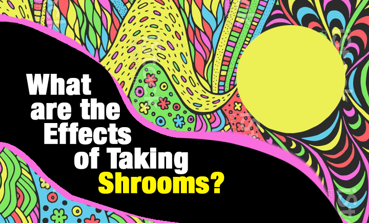 Effects of Shrooms