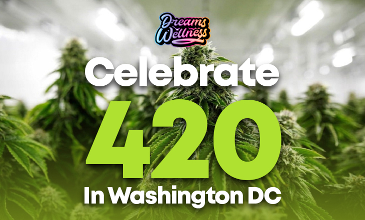 celebrate 420 in dc