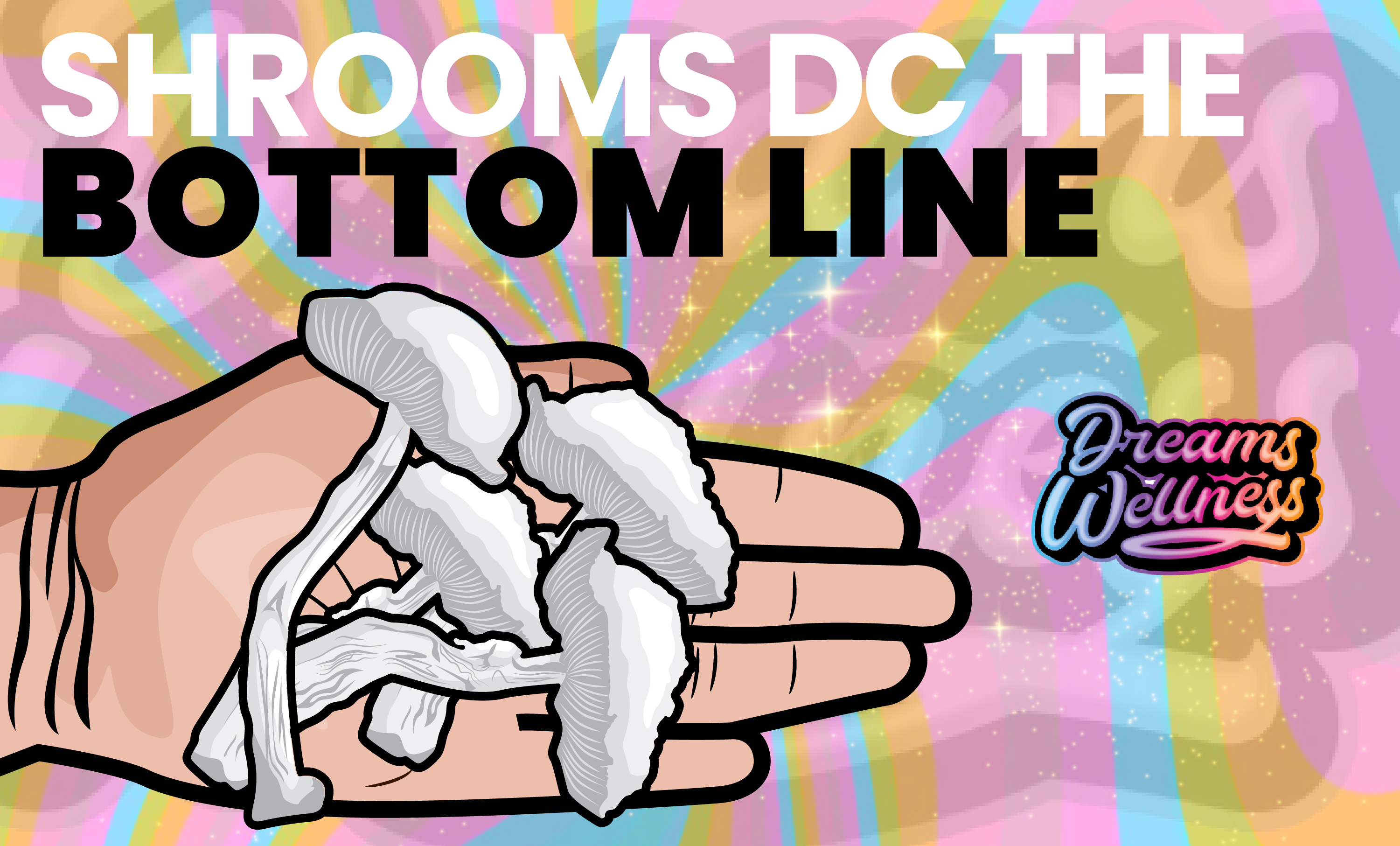 shrooms dc - the bottomline