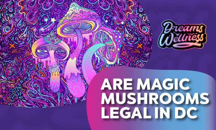 Magic Mushrooms in DC: Are They Legal?