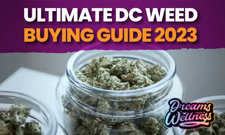 Ultimate DC Weed Buying Guide 2023