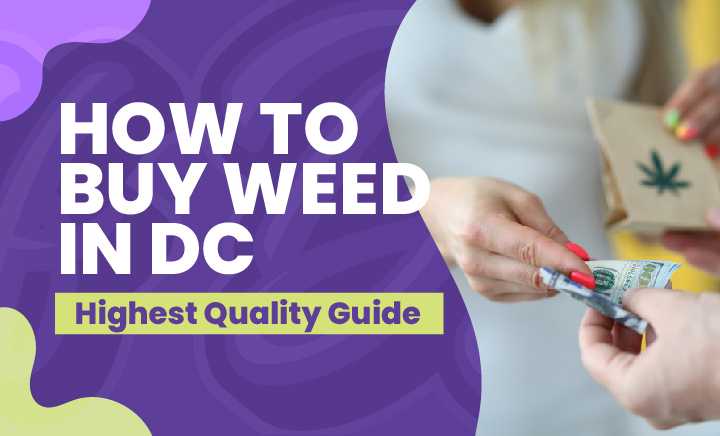 How to Buy Weed in DC - Highest Quality Guide