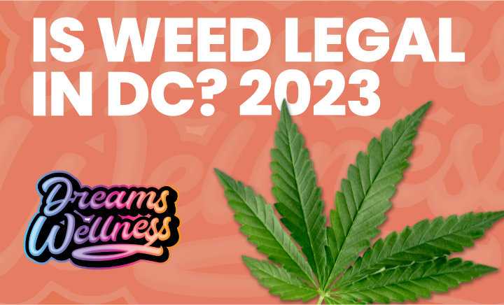 Is Weed Legal in DC 2023