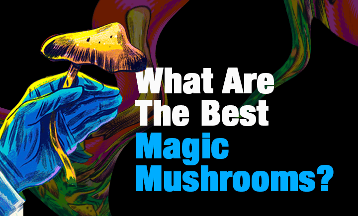 What Are the Best Magic Shroom Strains?