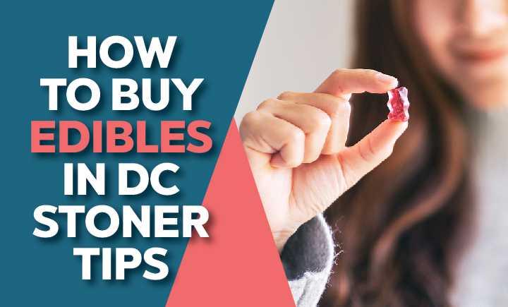How to Buy Edibles in DC - Stoner Tips