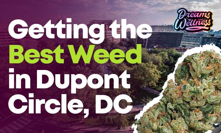 Getting the Best Weed in Dupont Circle, DC 