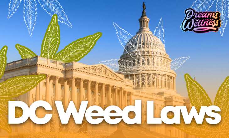 Can Tourists Buy Weed In DC? 